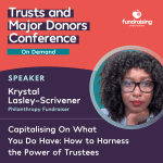 Capitalising on what you do have - how to harness the power of trustees.
