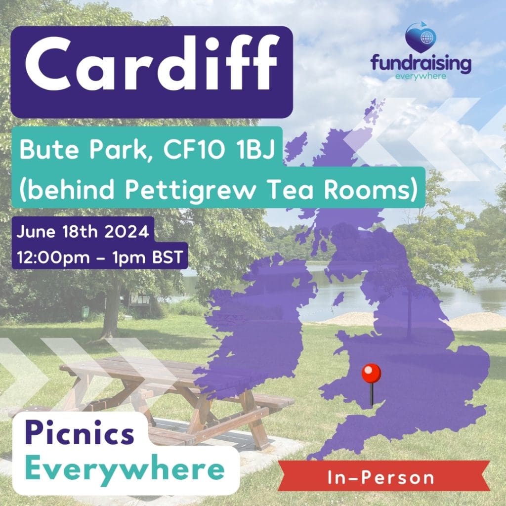 Picnic Cardiff (2)