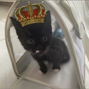 Jon Snow