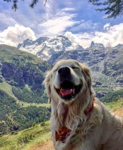 Milou