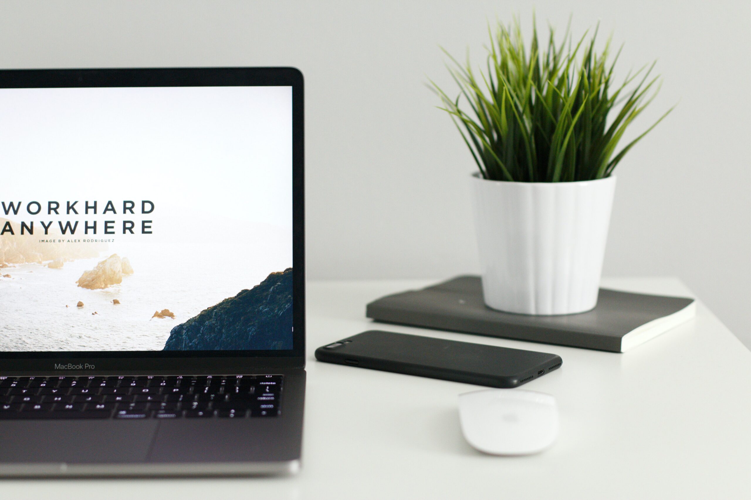 Photo of a laptop with the words: word hard anywhere. A plant is in the background